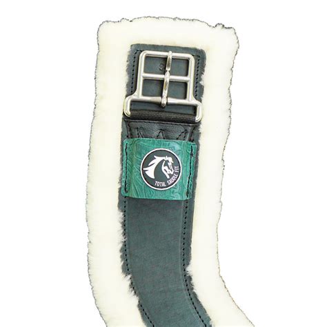cinch total protect|Quality Work, Guaranteed .